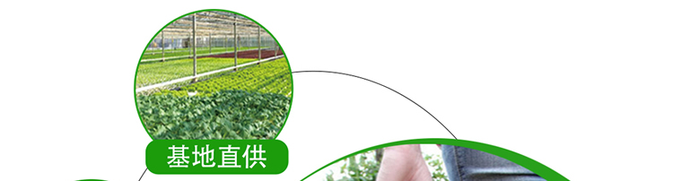 基地直供性价比高
