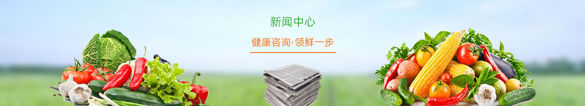 资讯动态